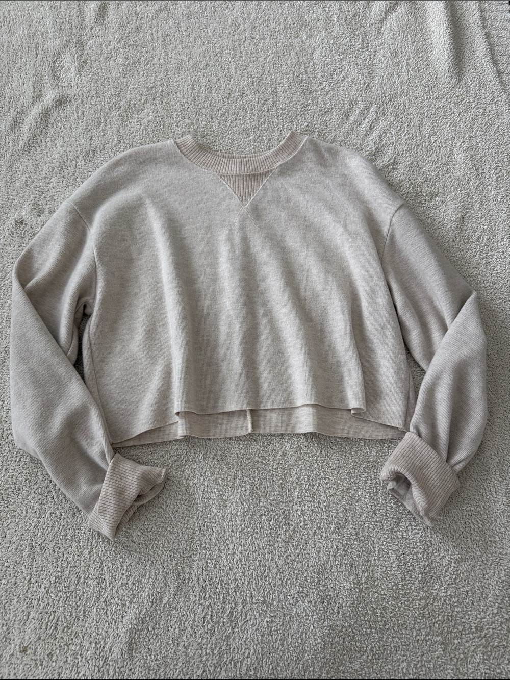 Zara Cropped Crewneck Sweatshirt in Light Taupe